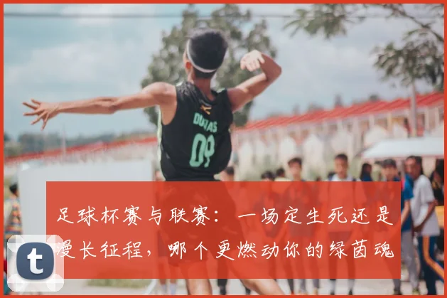 足球杯赛与联赛：一场定生死还是漫长征程，哪个更燃动你的绿茵魂？